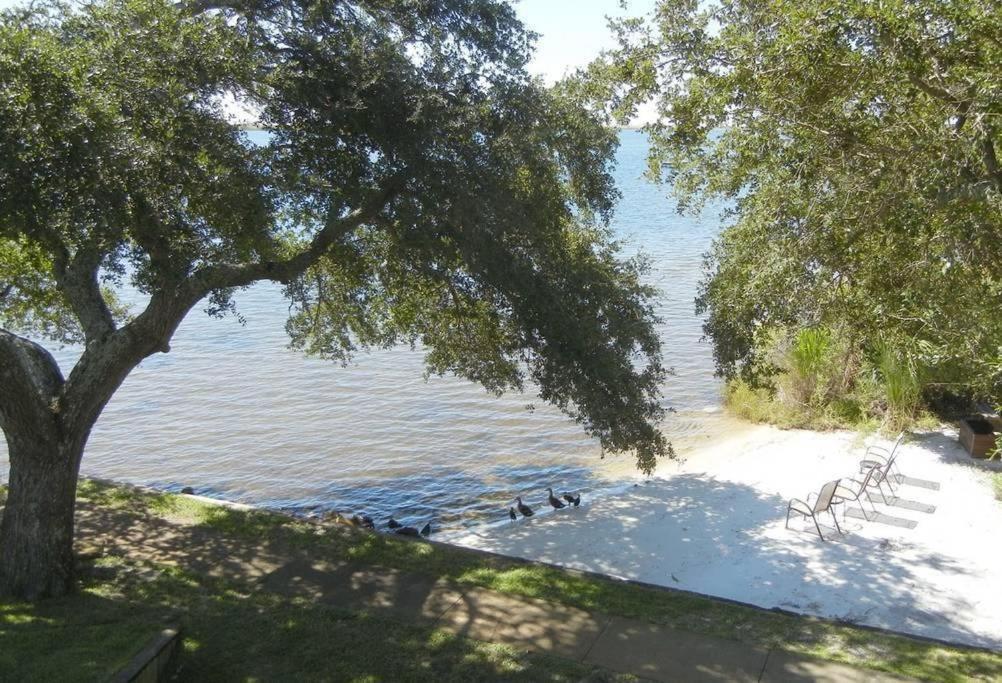 Pb A108-Executive Studio Condo At Great Rates! Fort Walton Beach Exterior foto